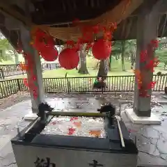 美幌神社の手水