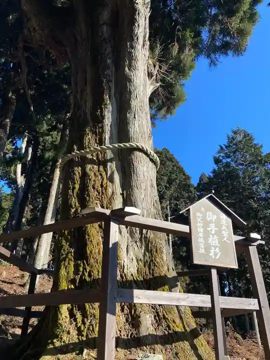 身延山奥之院思親閣(山梨県)