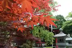 山中浅間神社の建物その他