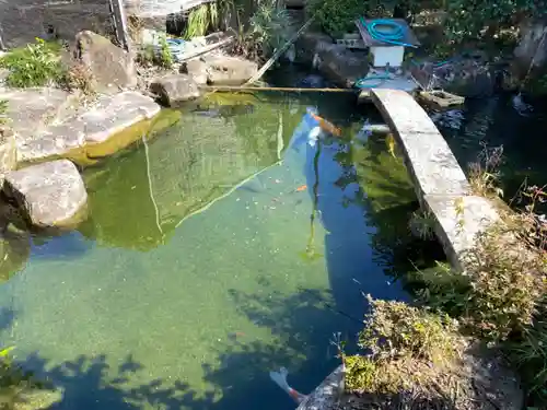 龍馬神社の庭園