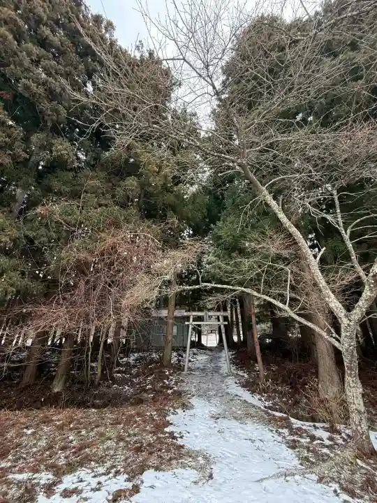 熊野神社の{uncategorized: "未分類", other: "その他", undefined: "問題あり", building: "その他建物", grave: "お墓", sacred_gate: "鳥居", guardian: "狛犬", statue: "像", buddha: "仏像", history: "歴史", nature: "自然", garden: "庭園", animal: "動物", pagoda: "塔", temizu: "手水舎", mountain_gate: "山門・神門", sanctuary: "本殿・本堂", subordinate: "末社・摂社", art: "芸術", scenery: "景色", jizo: "地蔵", ema: "絵馬", goshuin: "御朱印", omikuji: "おみくじ", items: "授与品その他", amulet: "お守り", goshuincho: "御朱印帳", eats: "食事", festival: "お祭り", votive_dance: "神楽", shichigosan: "七五三参", wedding: "結婚式", experience: "体験その他", initially: "初詣", around: "周辺", anti_infection: "感染症対策"}