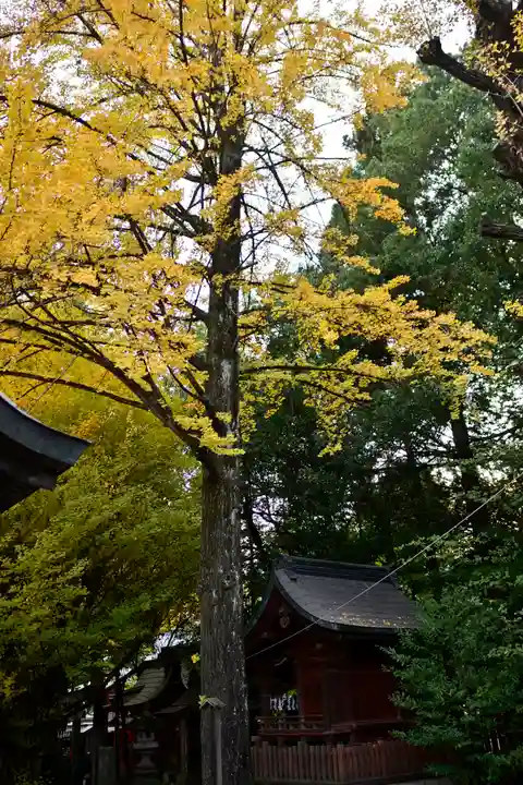 秩父神社(埼玉県)