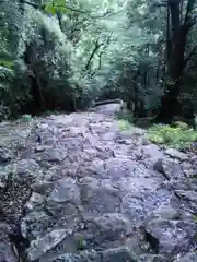 神倉神社（熊野速玉大社摂社）の自然