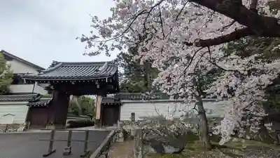隨心院（随心院）(京都府)