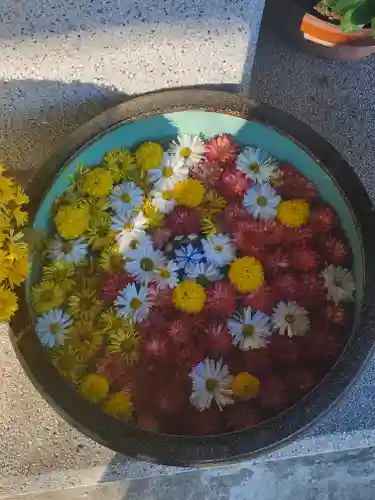 久伊豆大雷神社合殿の手水