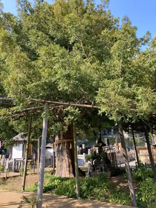 上行寺(神奈川県)