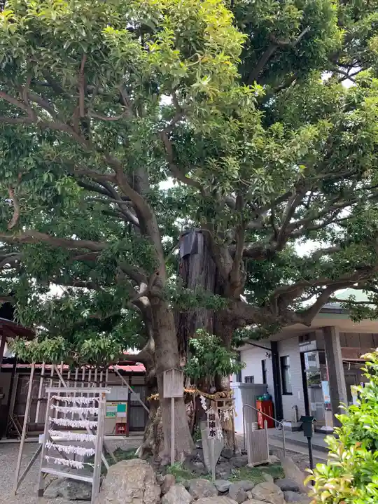 嶺白山神社の自然