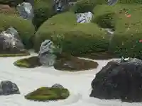 明月院(神奈川県)