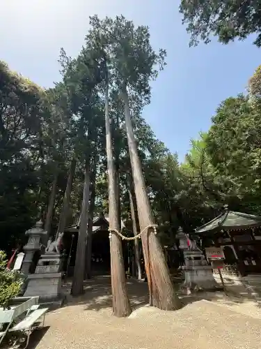 豊川閣　妙厳寺(愛知県)