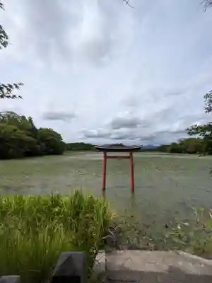 薦神社(大分県)