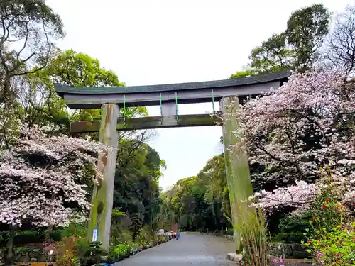 福岡縣護國神社の鳥居