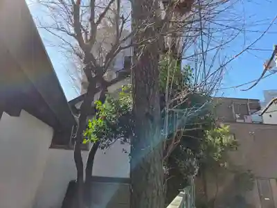 諏訪神社(東京都)