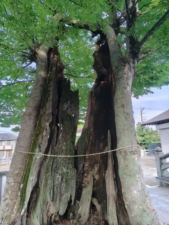 真田神社(神奈川県)