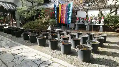 行願寺（革堂）(京都府)