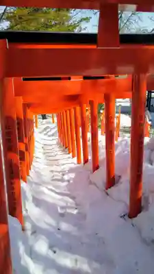 住吉神社の鳥居