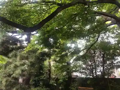 醫王寺の自然