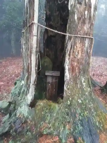 正平寺のその他建物