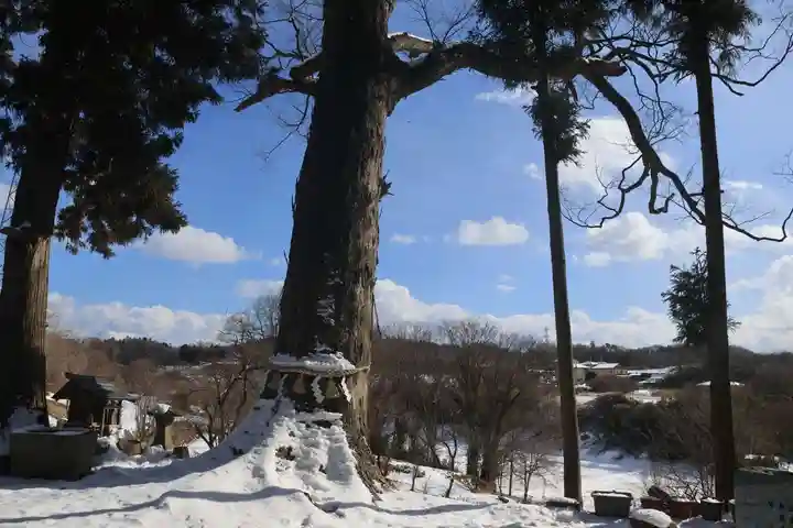 阿久津「田村神社」(郡山市阿久津町)旧社名:伊豆箱根三嶋三社の自然