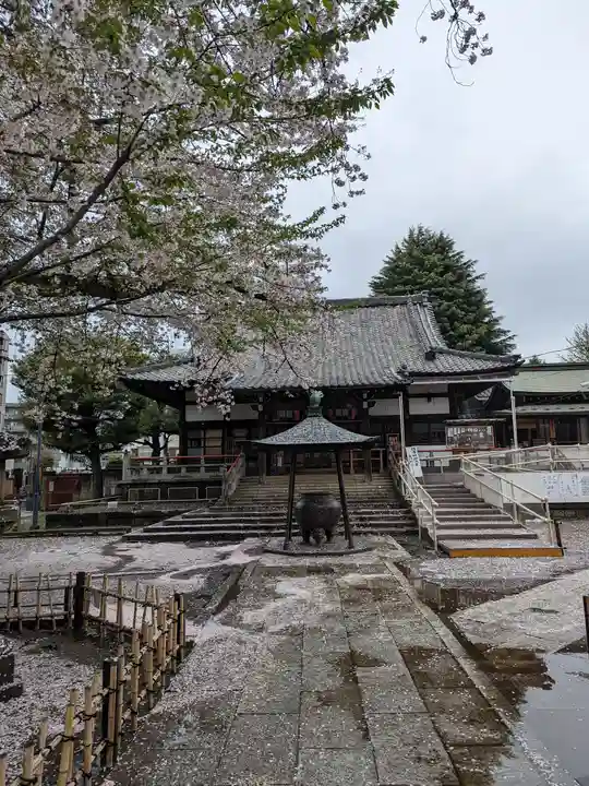 新井薬師(梅照院)(東京都)