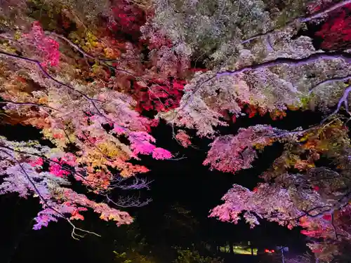 土津神社｜こどもと出世の神さまの自然