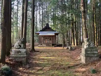 温泉神社(上奥沢)(栃木県)