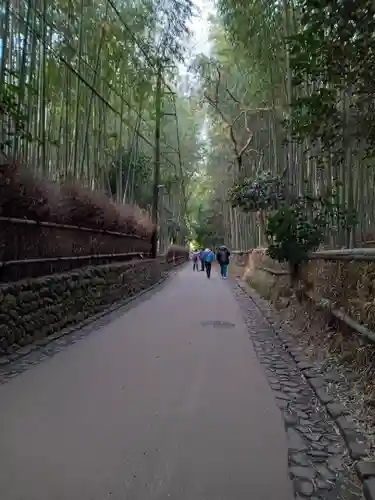 野宮神社(京都府)