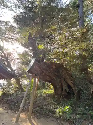 木内大神(千葉県)