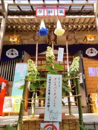 十番稲荷神社(東京都)