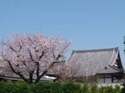 龍前院(神奈川県)