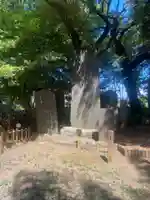 畑子安神社(千葉県)