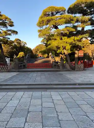 鶴岡八幡宮の庭園