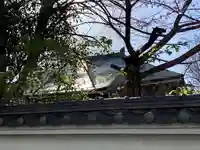 雲光院(東京都)