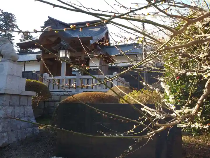 常陸二ノ宮 静神社の景色