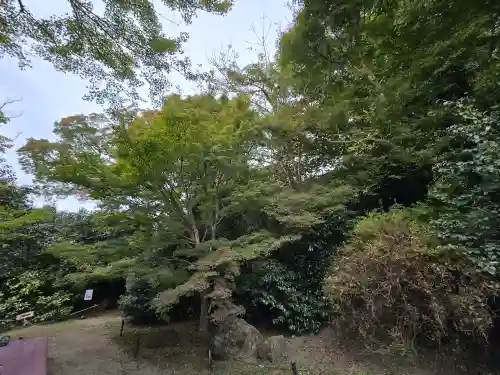 霊鑑寺門跡(京都府)