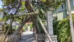 荏柄天神社の自然