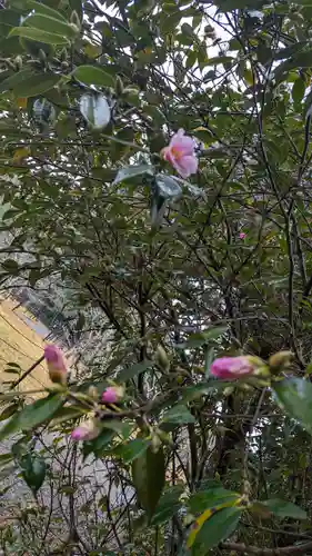 長岡天満宮(京都府)