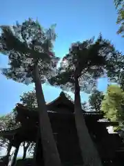 岩崎神社(長野県)