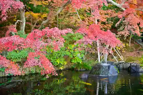 長谷寺(神奈川県)