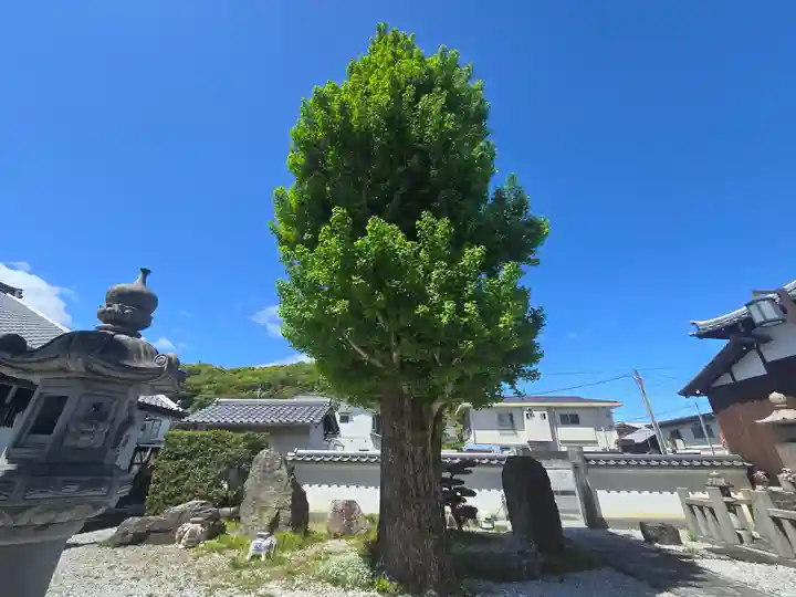 念佛寺(念仏寺)(京都府)