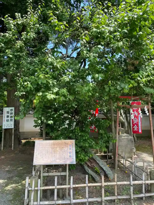弘道館鹿島神社の自然