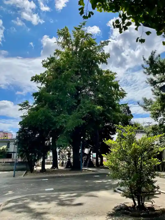柴又八幡神社(東京都)