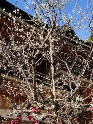 宝厳寺(滋賀県)