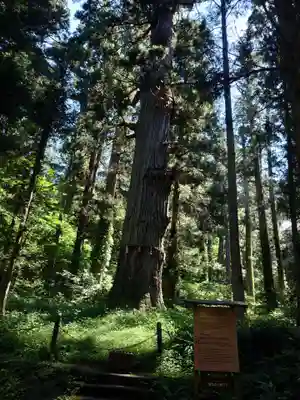 出羽神社(出羽三山神社)～三神合祭殿～(山形県)