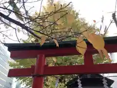雷電稲荷神社の自然