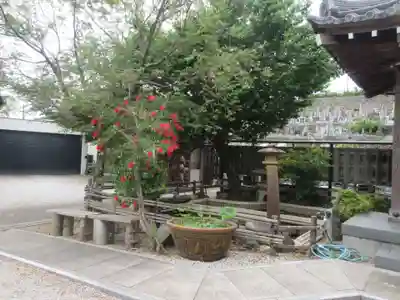 徳林寺(埼玉県)