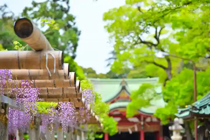 越ヶ谷久伊豆神社(埼玉県)