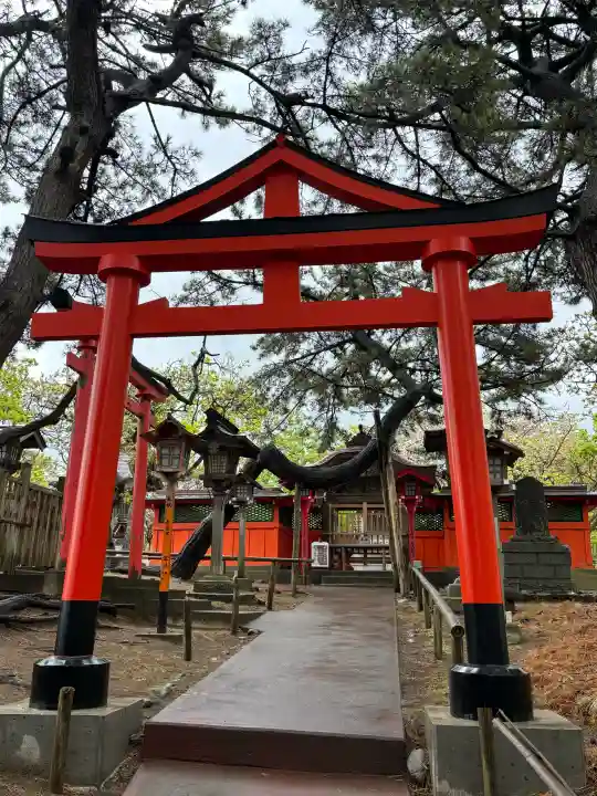 高山稲荷神社の{uncategorized: "未分類", other: "その他", undefined: "問題あり", building: "その他建物", grave: "お墓", sacred_gate: "鳥居", guardian: "狛犬", statue: "像", buddha: "仏像", history: "歴史", nature: "自然", garden: "庭園", animal: "動物", pagoda: "塔", temizu: "手水舎", mountain_gate: "山門・神門", sanctuary: "本殿・本堂", subordinate: "末社・摂社", art: "芸術", scenery: "景色", jizo: "地蔵", ema: "絵馬", goshuin: "御朱印", omikuji: "おみくじ", items: "授与品その他", amulet: "お守り", goshuincho: "御朱印帳", eats: "食事", festival: "お祭り", votive_dance: "神楽", shichigosan: "七五三参", wedding: "結婚式", experience: "体験その他", initially: "初詣", around: "周辺", anti_infection: "感染症対策"}