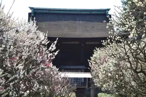 道明寺天満宮(大阪府)