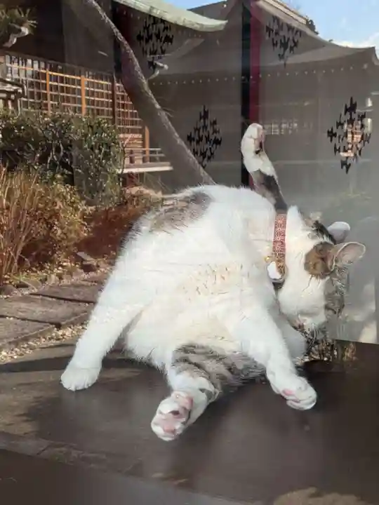 本郷氷川神社(東京都)
