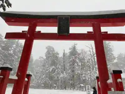 出羽神社(出羽三山神社)~三神合祭殿~の鳥居